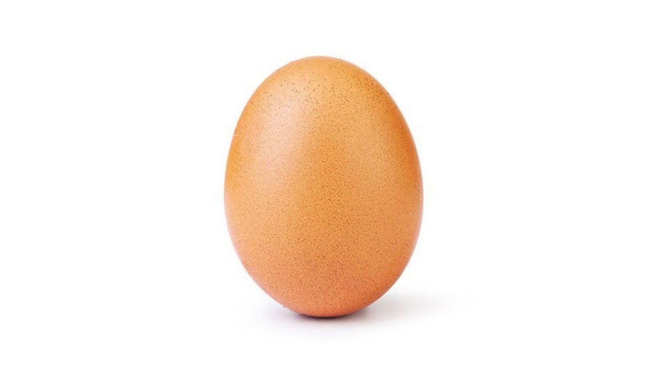 World Record Egg Hhatched