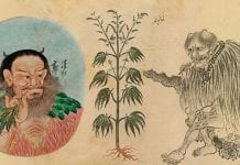 Smoking and Cultivating Marijuana Found to Date Back 2,500 Years