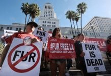 California Officially Bans the Sale of Animal Fur
