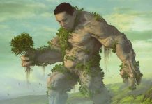 Elon Musk Donates 1 Million Trees to YouTube’s MrBeast