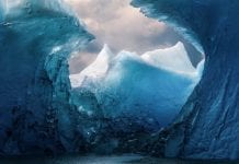Here are the Winners of 2019's Photographer of the Year Contest