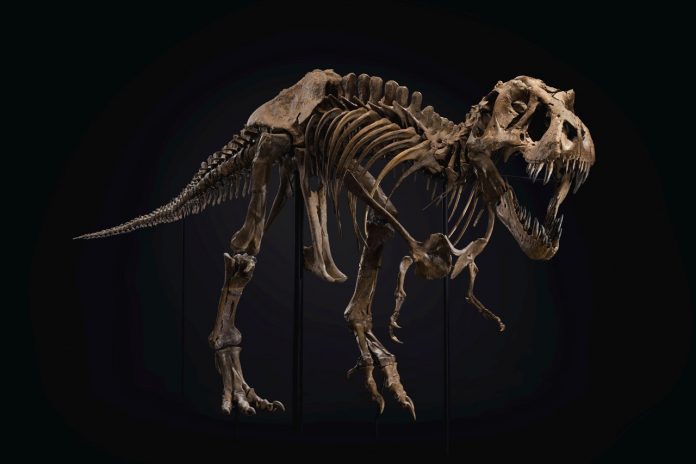 T-Rex Skeleton Sold at Auction