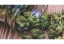 Cannabis Is Officially A Medicine