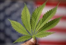 US House Of Representatives Pass Marijuana Legalisation Bill