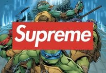 Supreme to Team with Teenage Mutant Ninja Turtles, Kaws and More in 2021