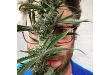 Seth Rogen launches His Own Weed Brand