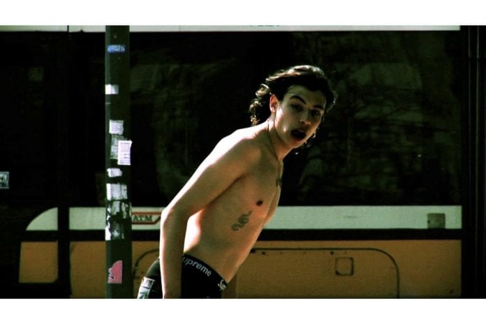 Supreme Stallion Header