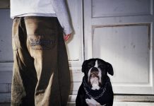 Dickies Unveils 90s-Inspired Pre-SS25 Denim Collection