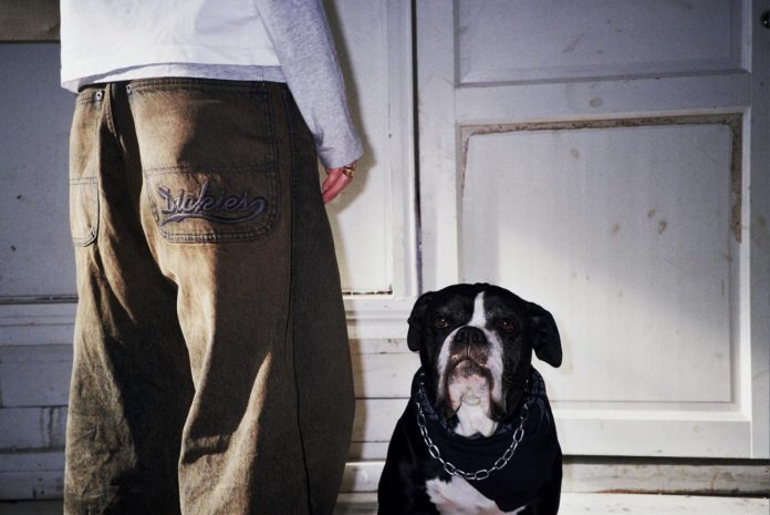 Dickies 90s jeans (15)